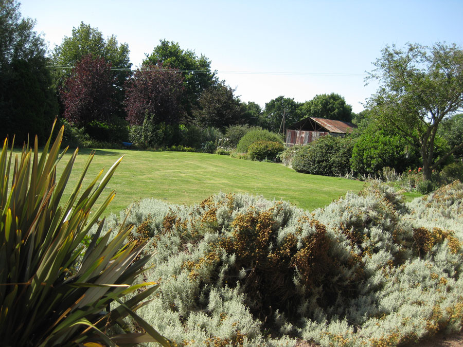 garden