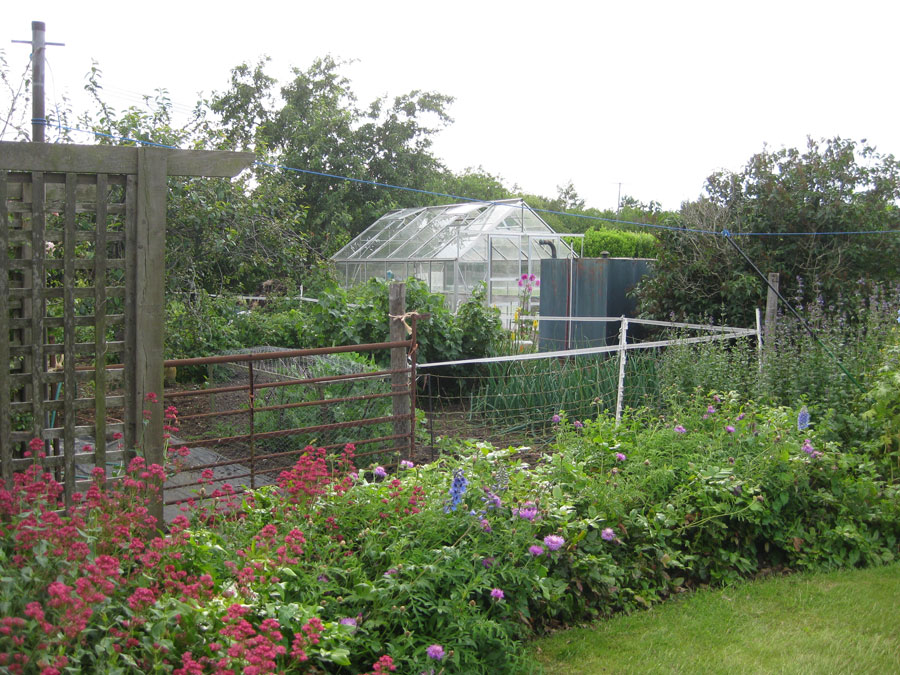 garden