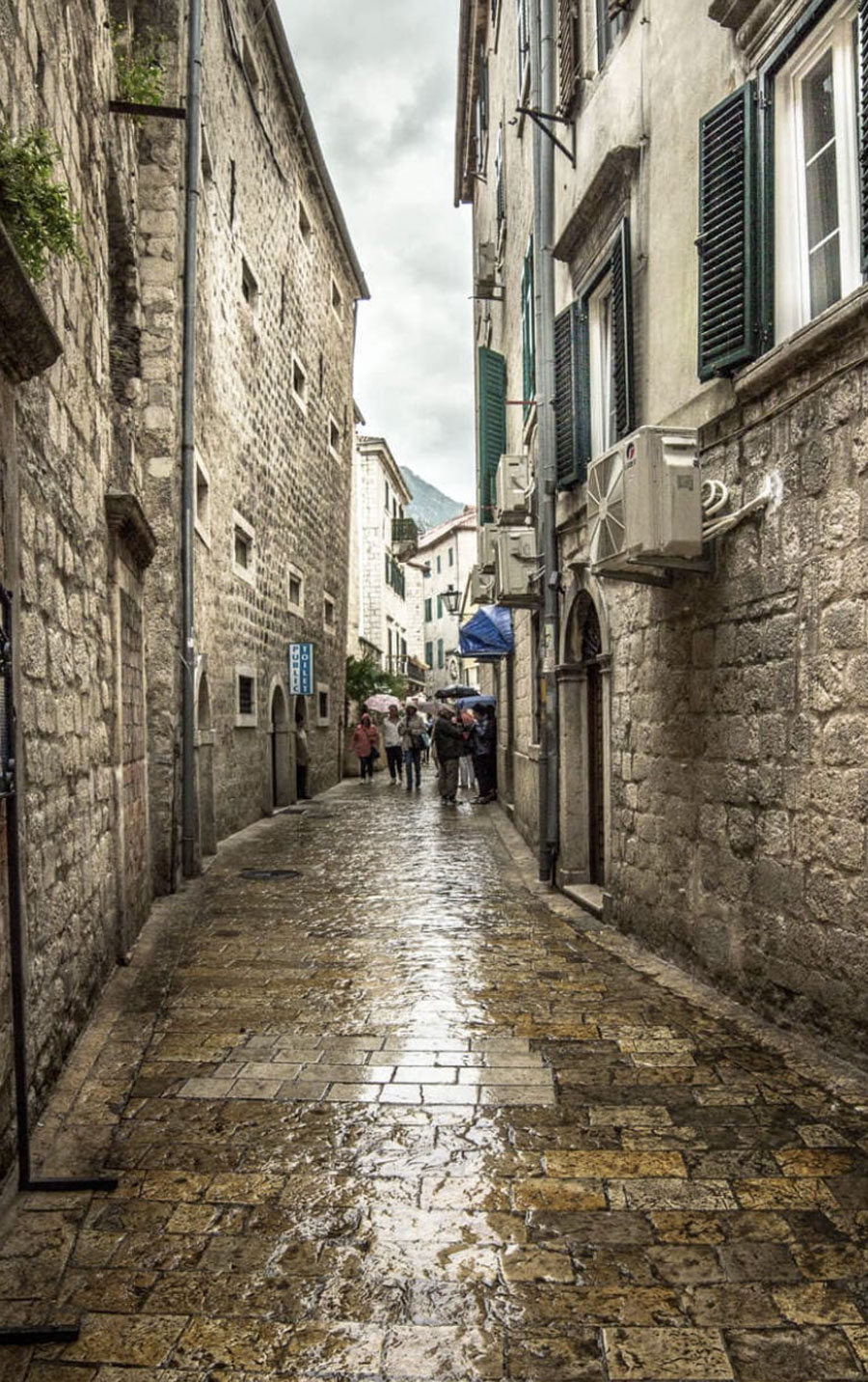 Kotor
