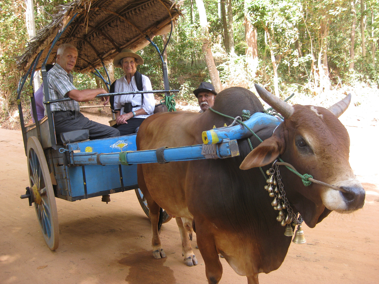Sri Lanka Photo