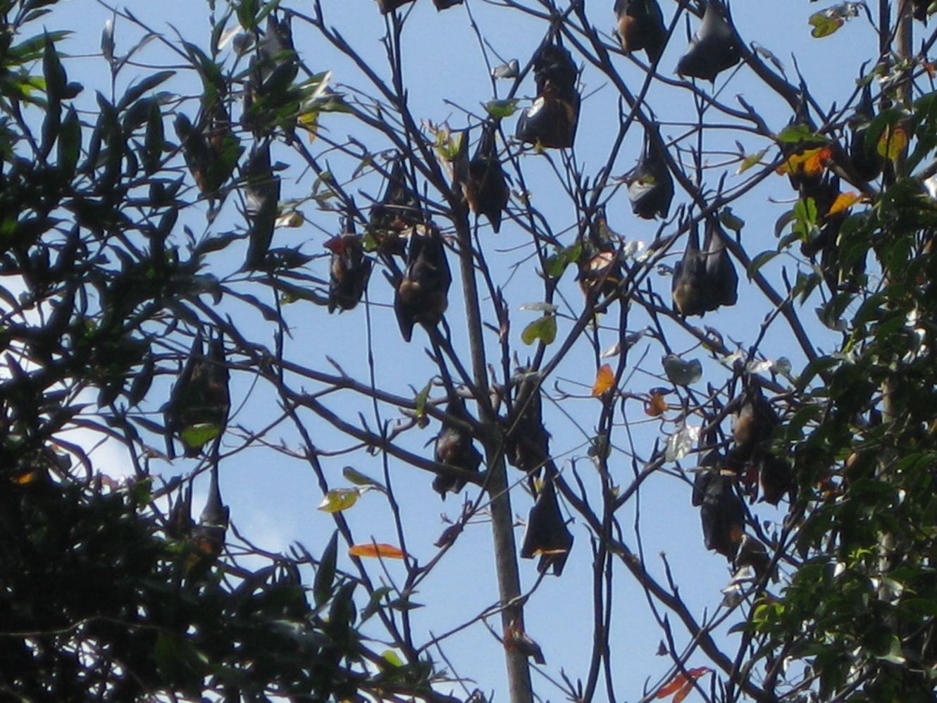 Sri Lanka Photo