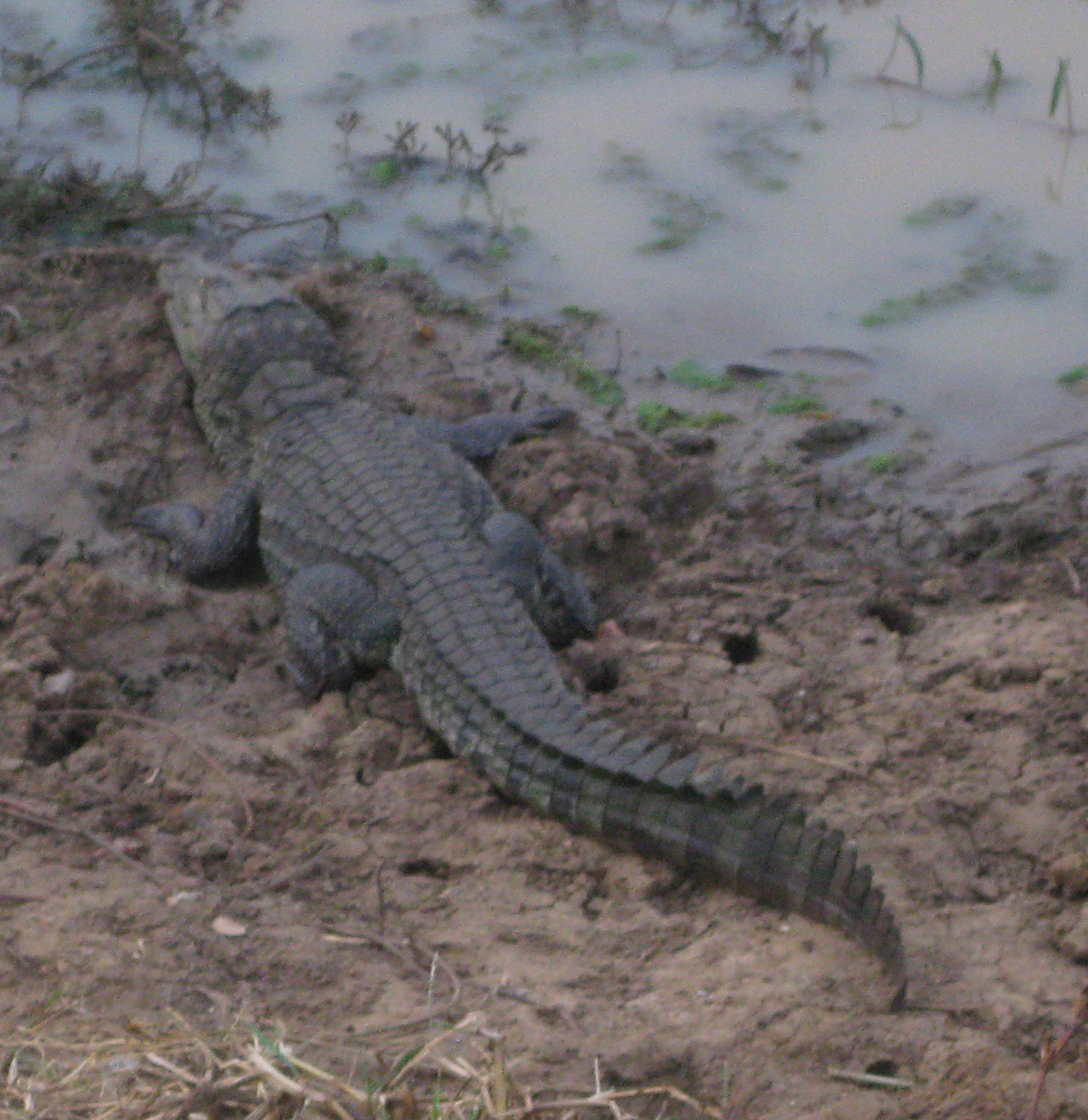 Sri Lanka Photo
