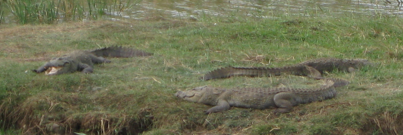 Sri Lanka Photo