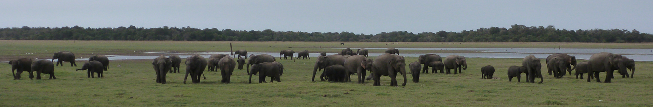 Sri Lanka Photo