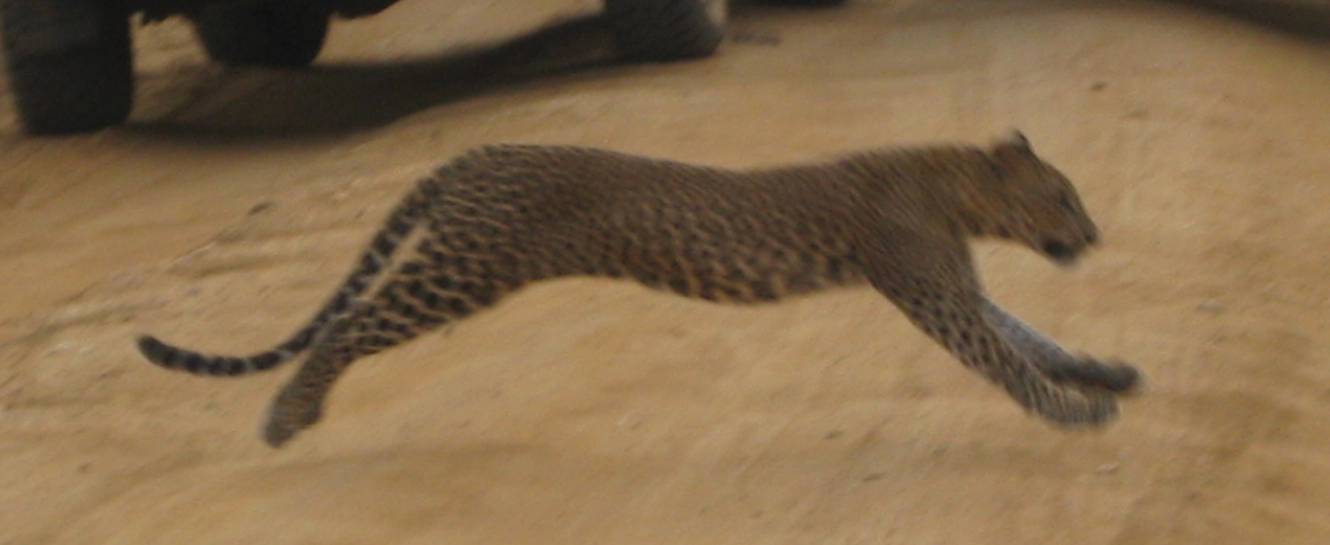 Sri Lanka Photo
