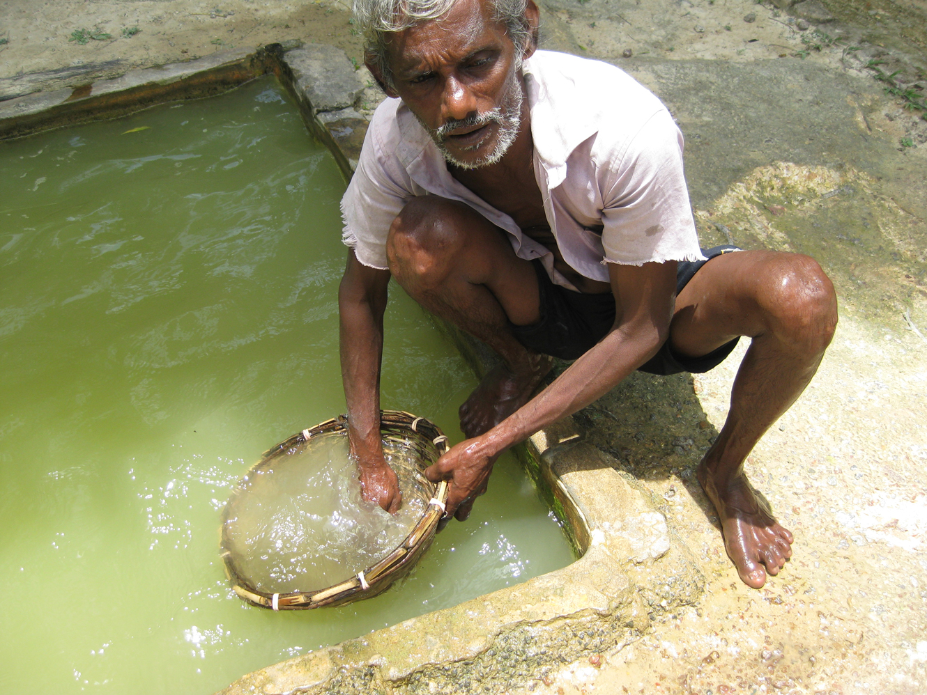 Sri Lanka Photo